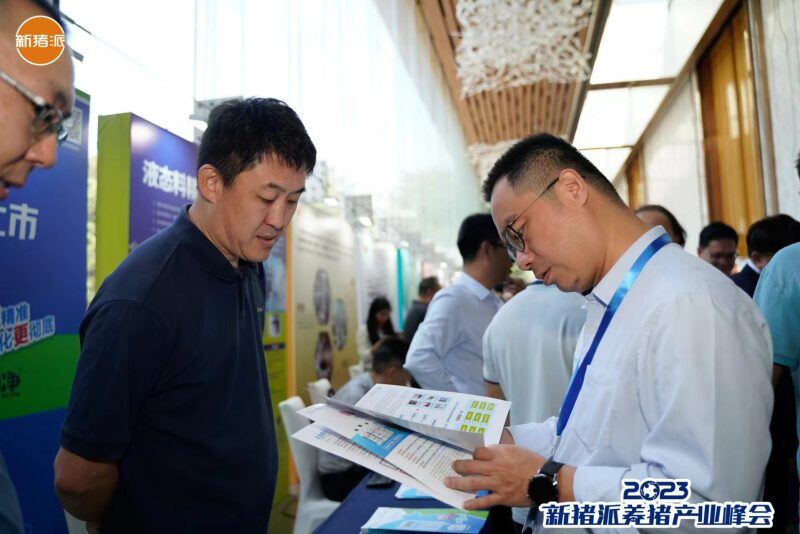 10位专家主题报告为猪业切脉,6位嘉宾谈破局犀利辣评!新猪派养猪产业峰会首日精彩不断