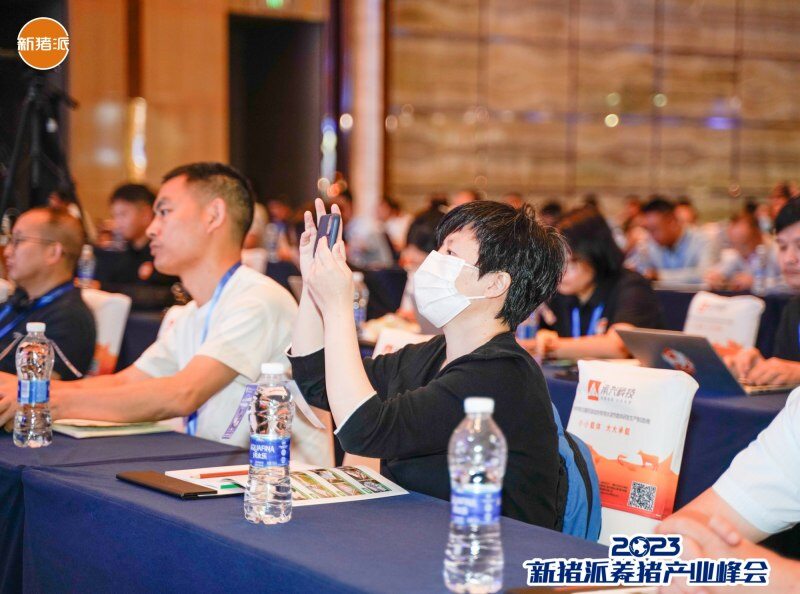 揭开蓝耳双阴猪饲养秘诀， 天行农业：“两高一大”种猪是未来必然选择 | 2023新猪派养猪产业峰会