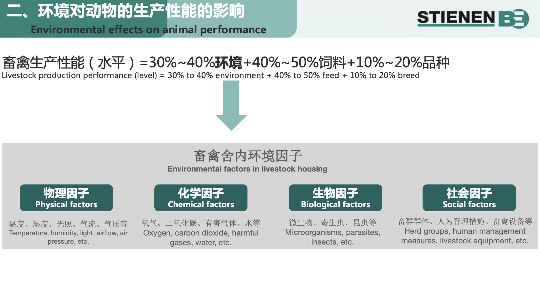 权重占比30%-40%！养殖环控无小事，荷兰史缔纳方案助力养猪高效生产