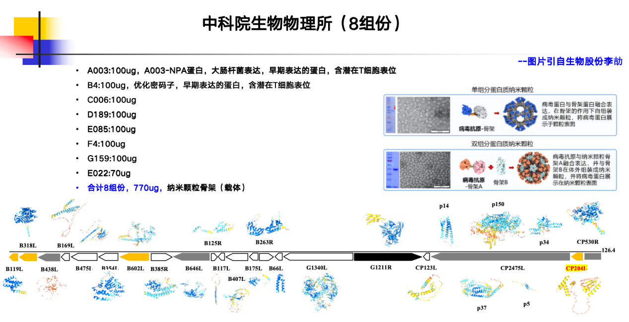 張桂紅：非瘟病毒存在太多未知，疫苗相關解析仍需繼續……|2023新豬派養豬產業峰會