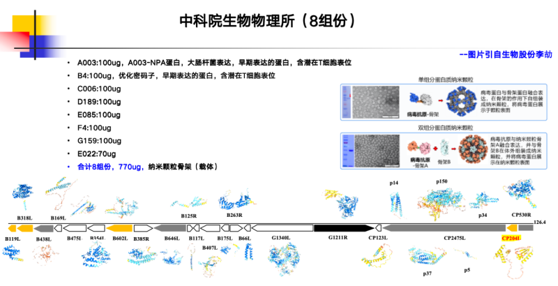 张桂红：非瘟病毒存在太多未知，疫苗相关解析仍需继续……|2023新猪派养猪产业峰会
