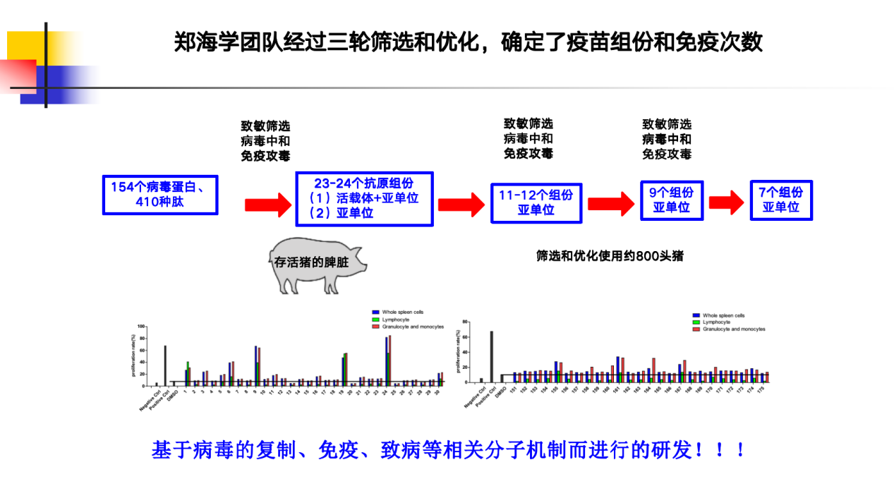 張桂紅：非瘟病毒存在太多未知，疫苗相關解析仍需繼續……|2023新豬派養豬產業峰會