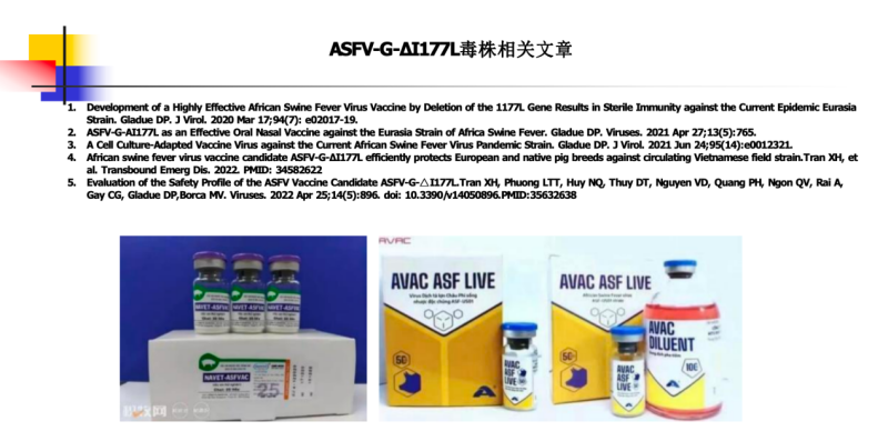 张桂红：非瘟病毒存在太多未知，疫苗相关解析仍需继续……|2023新猪派养猪产业峰会