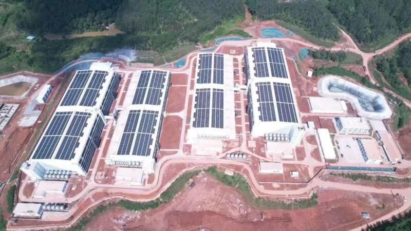 越秀农牧:封开首批引种8675头,猪只安全到“家”!