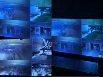 越秀农牧:封开首批引种8675头,猪只安全到“家”!