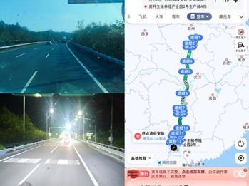 越秀农牧:封开首批引种8675头,猪只安全到“家”!