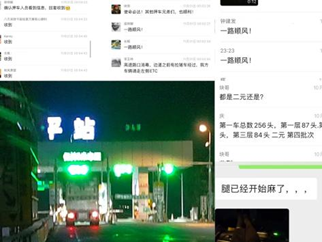 越秀农牧:封开首批引种8675头,猪只安全到“家”!