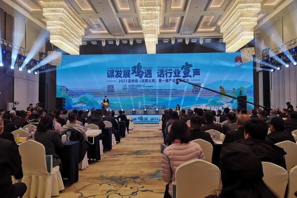 为了“养”好这只“鸡”，宣城也是拼了