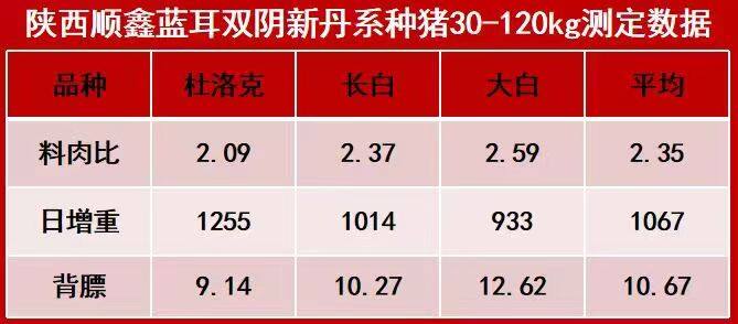 史俊鹏：陕西顺鑫持续8年蓝耳双阴，PSY超34头，育肥全成本低于6.5元/斤|硕腾特约2023健康种猪中国行