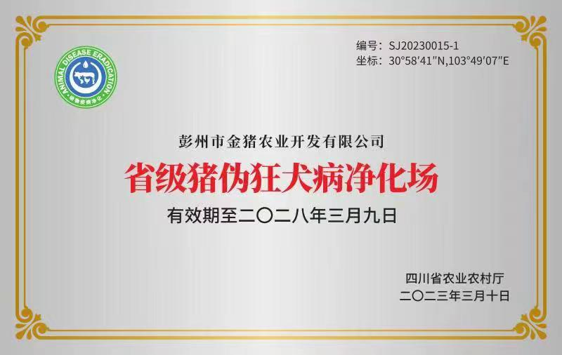 金猪农业：年销种猪及商品猪2万余头，优质种猪100kg体重日龄仅136天