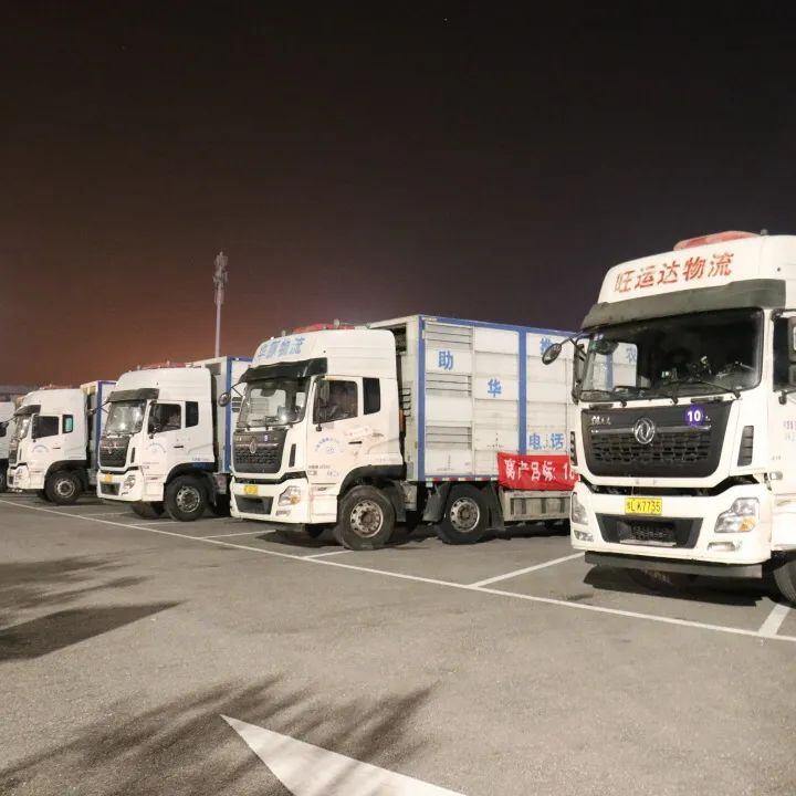 祝贺!长荣成功引进海波尔种猪,后代种猪预计明年7月份供应市场
