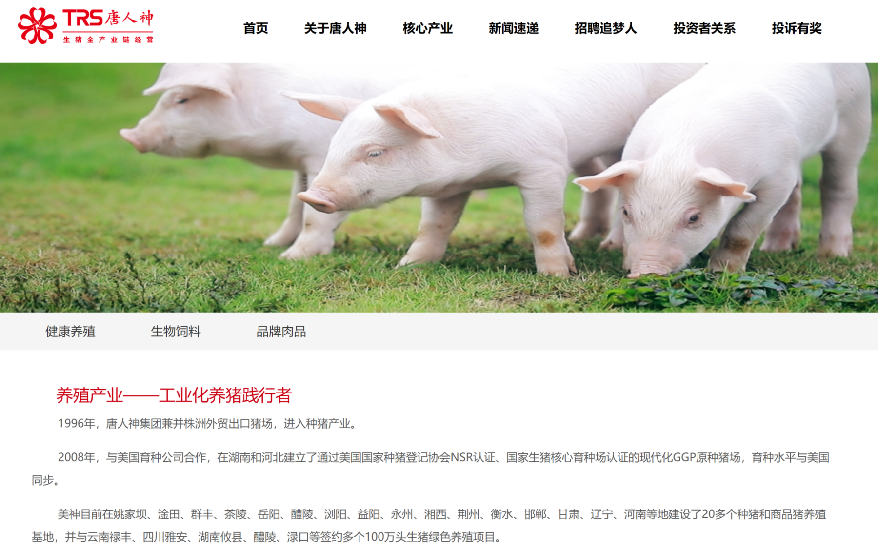 唐人神:将逐步由“新美系”向“新丹系”种猪体系过渡