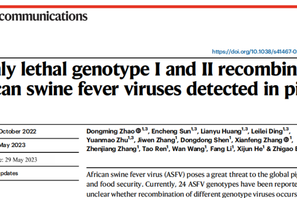强毒死亡率高！非洲猪瘟基因I型和II型重组形成嵌合毒株，升级检测方法早发现是关键