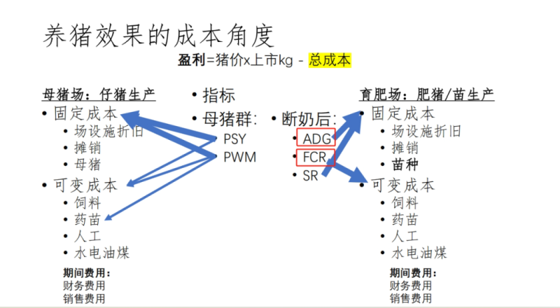 155-158天从断奶到125公斤出栏，神农集团养殖成本降到15.2元/公斤