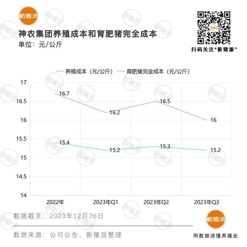 155-158天从断奶到125公斤出栏，神农集团养殖成本降到15.2元/公斤
