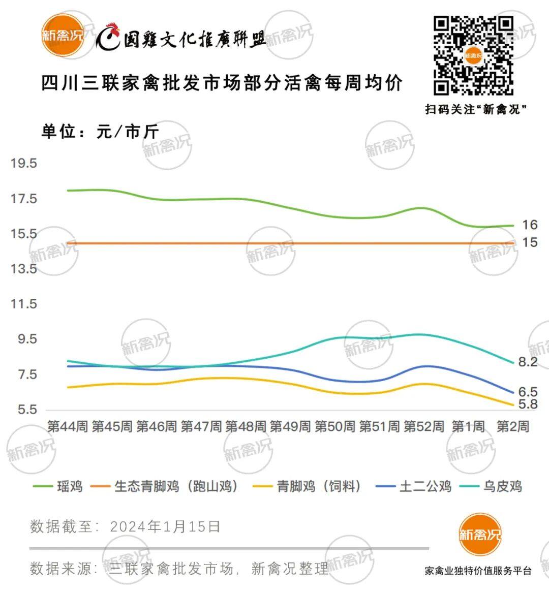 1月15日 川渝鸡价回升，两湖、江西鸡价下调，多地鸡价以稳为主【鸡价指数】