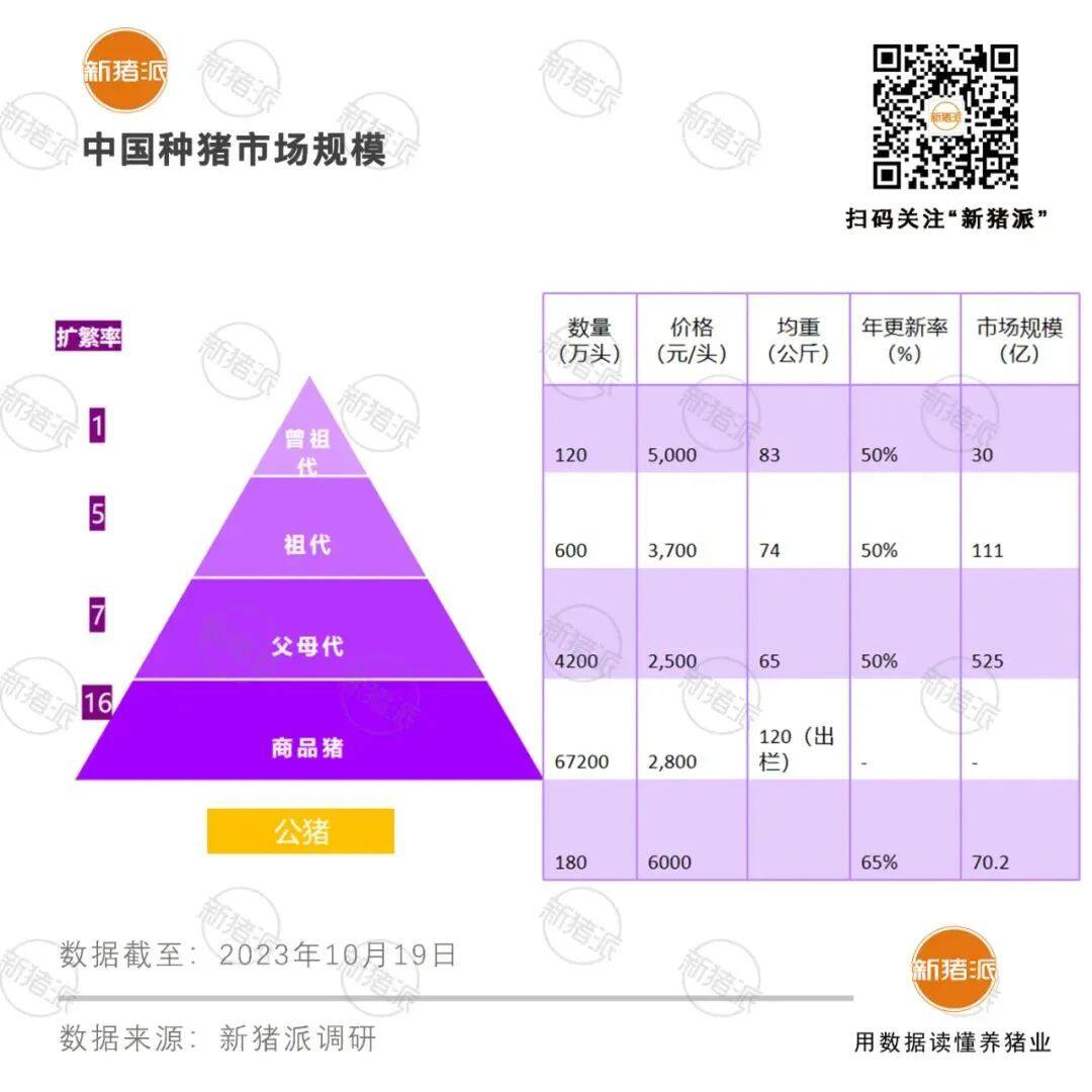 如何抢滩500多亿种猪市场？育种、蓝耳双阴、仔猪均有溢价空间