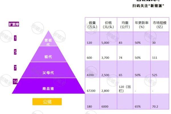 如何抢滩500多亿种猪市场？育种、蓝耳双阴、仔猪均有溢价空间