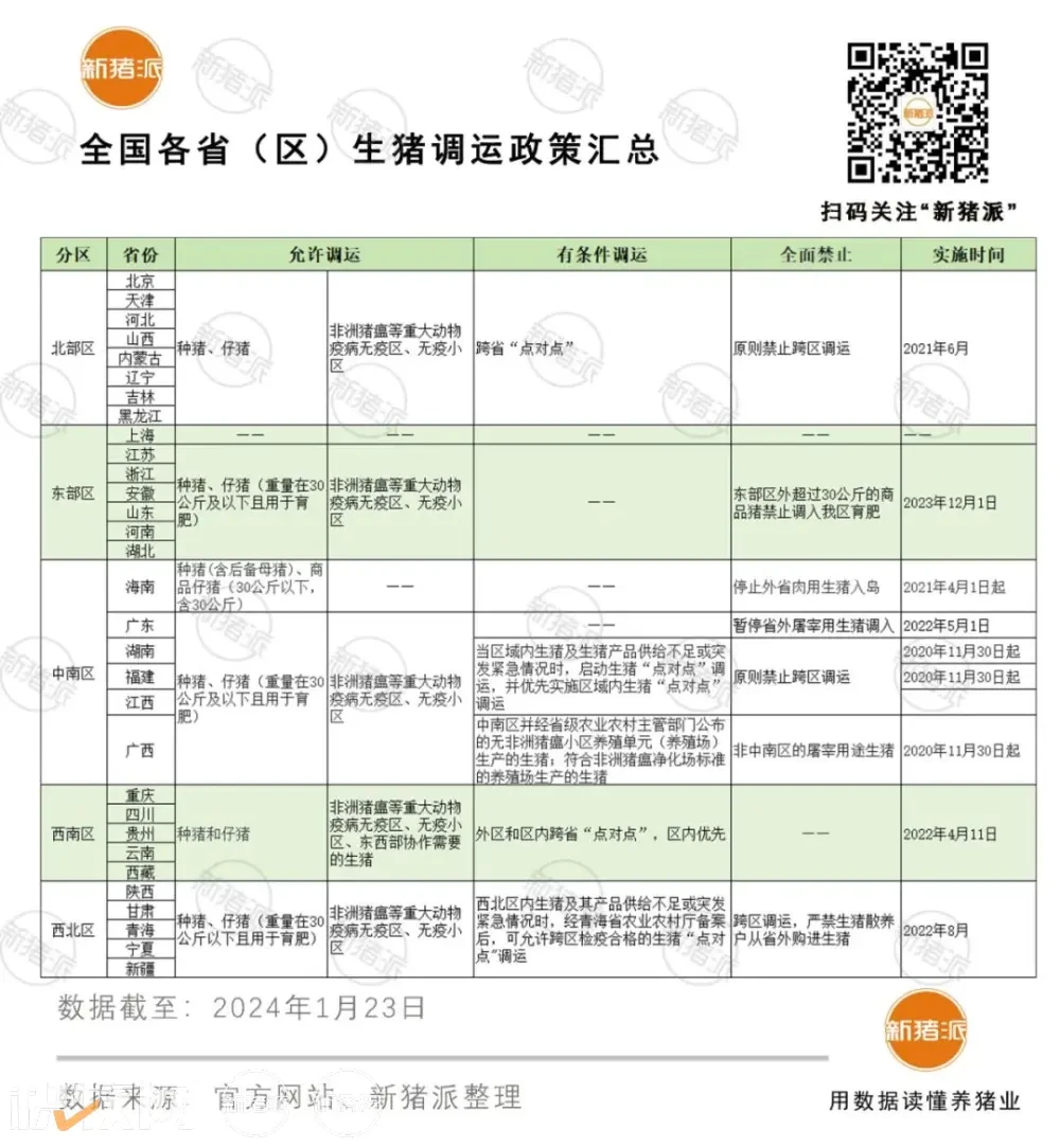 仔猪价格飙升，猪价反弹，警惕二次育肥！广东、海南全面禁止省外屠宰生猪入境