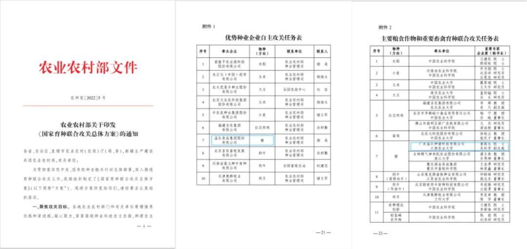 中芯种业：担振兴使命，铸生猪种业“中国芯”，为1亿头商品猪生产体系提供种源保障