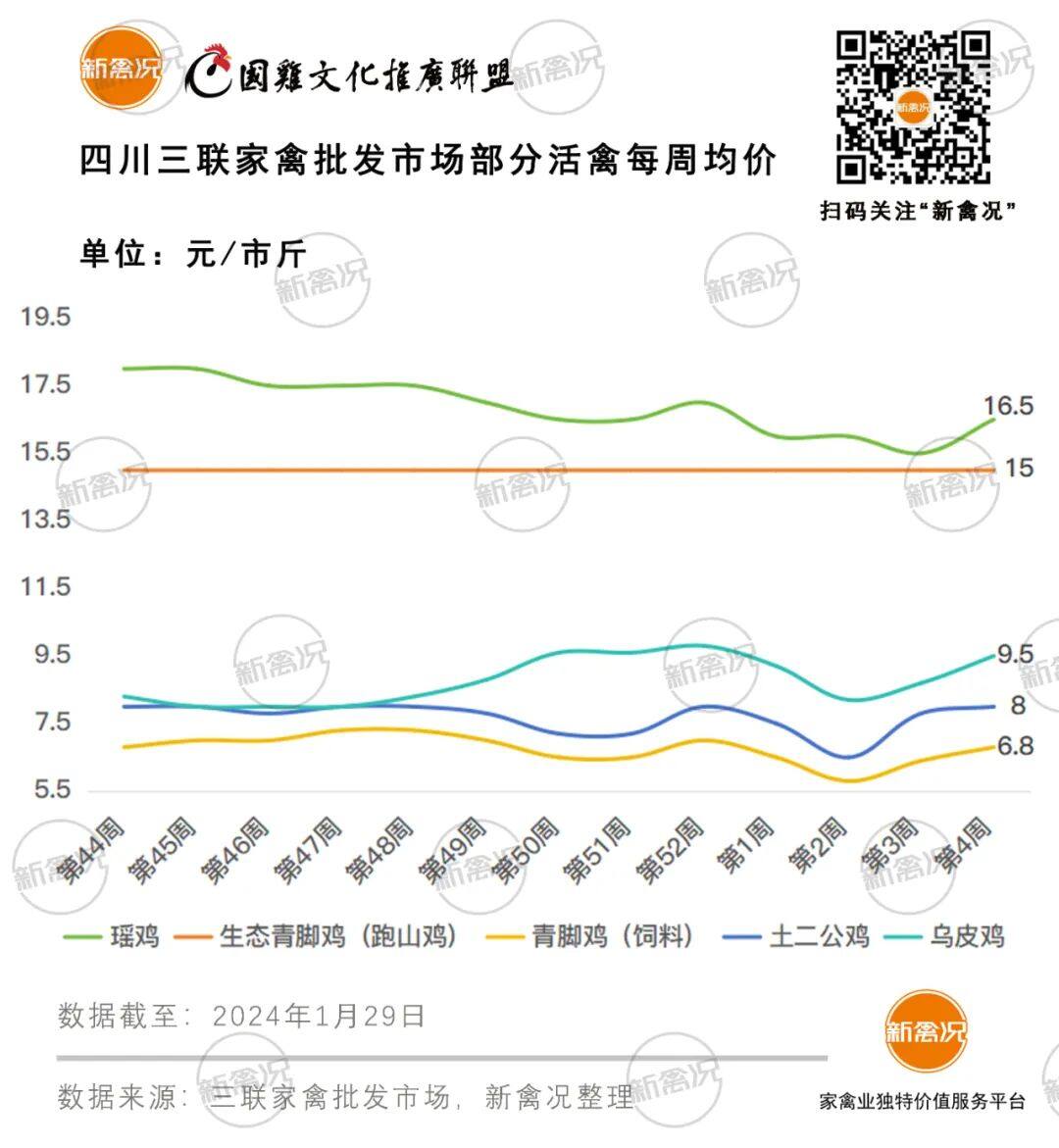 1月30日 行情上涨，粤东、川渝、云贵等多地鸡价上涨，两湖鸡价稳定【鸡价指数】