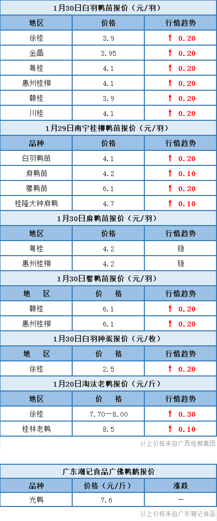 1月29日 福建鸭价上调！广东、浙江水禽价格稳定，桂柳鸭苗报价上涨【水禽价格指数】