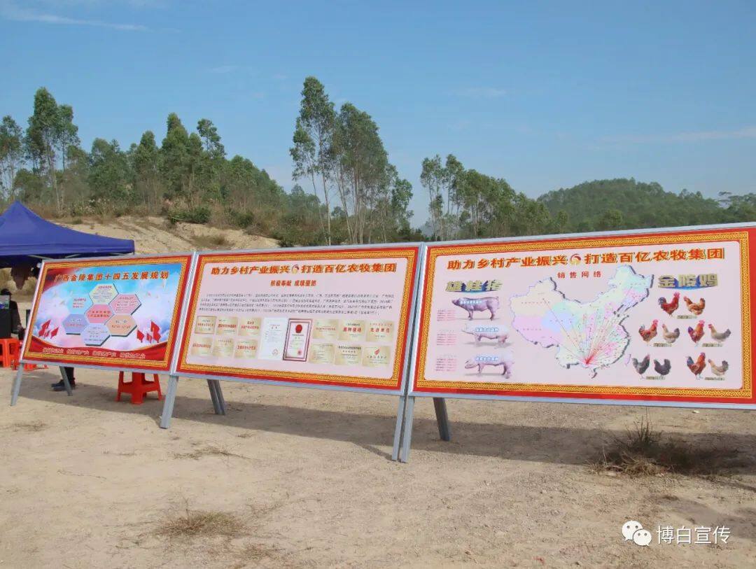 廣西金陵集團博白縣生豬養殖加工全產業鏈示范園區建設項目開工儀式舉行