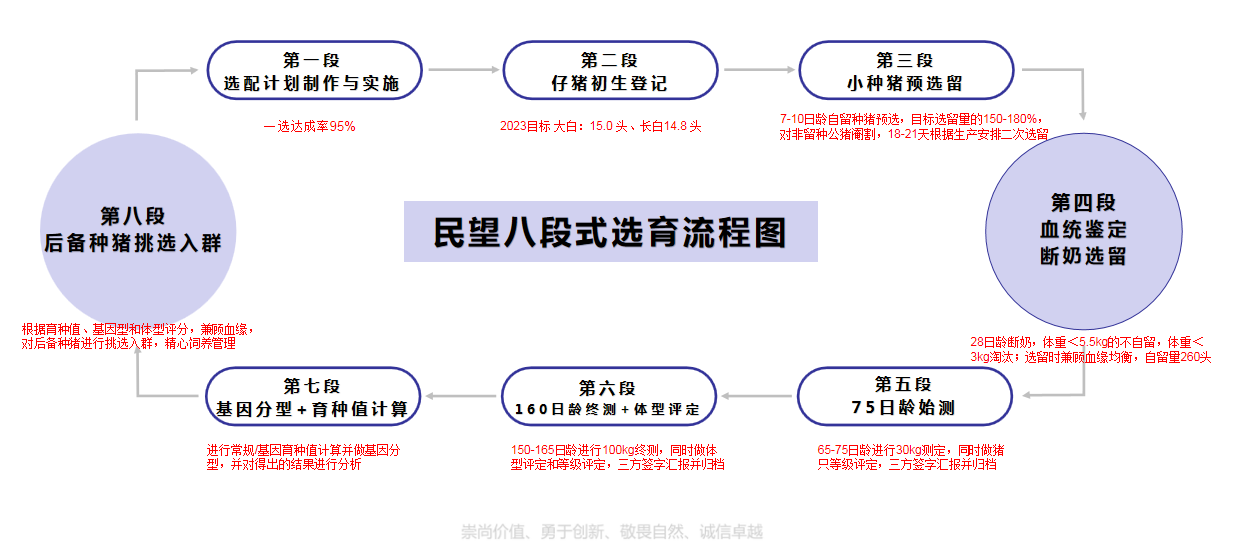 喜报！民望农牧入选2023年国家生猪核心育种场，5A级品牌标准打造猪瘟、伪狂、蓝耳三项净化示范场