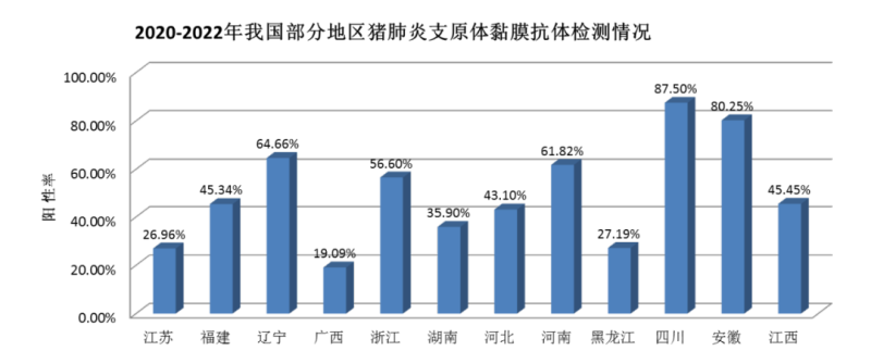 一针解决:蓝耳活跃场显著提高育肥成活率,全程料比2.4,育肥成本节约100元/头