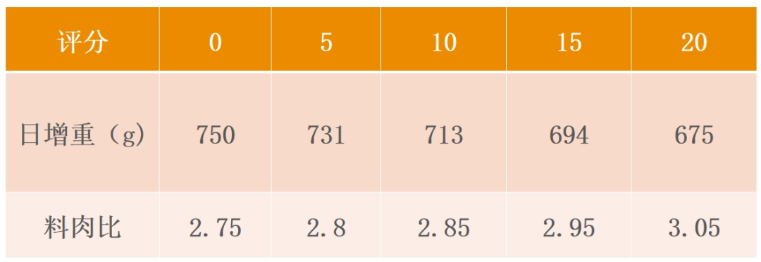 一针解决：蓝耳活跃场显著提高育肥成活率，全程料比2.4，育肥成本节约100元/头