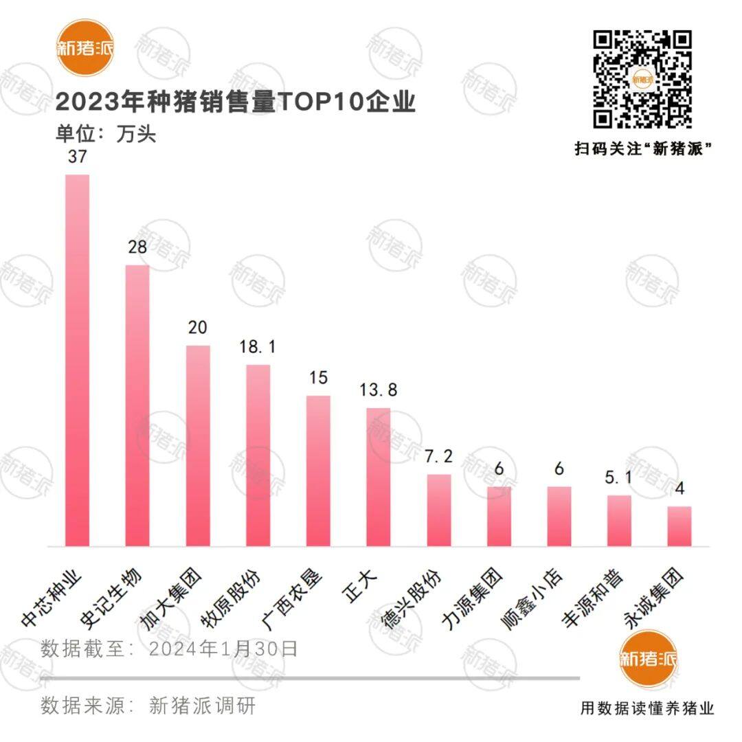 160万头！2023年种猪销量TOP10：中芯种业37万，史记28万，加大20万，牧原18万…