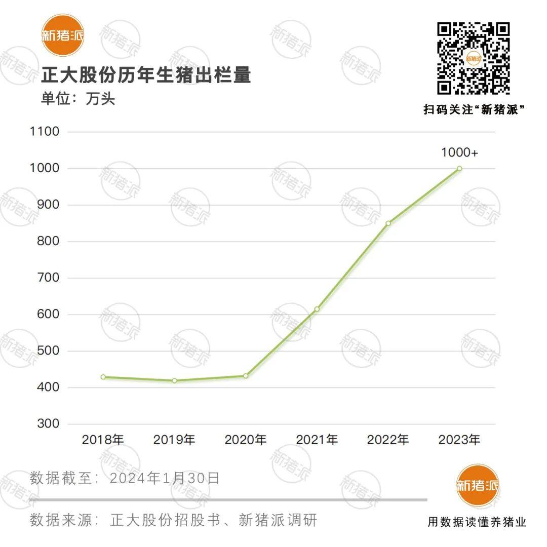 160万头！2023年种猪销量TOP10：中芯种业37万，史记28万，加大20万，牧原18万…