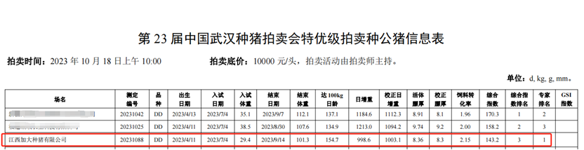 一年卖出20万头种猪！加大集团6大举措逆势而上，抢滩700亿规模种猪市场