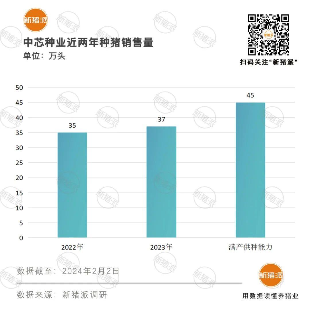 種豬銷售37萬頭蟬聯榜首！中芯種業高標準藍耳雙陰區域公豬站，25個育種基地布局全國