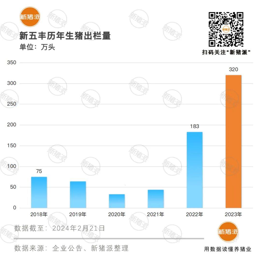 出欄320萬頭！老牌國企新五豐高質量發展：養豬、屠宰、食品全產業鏈發力