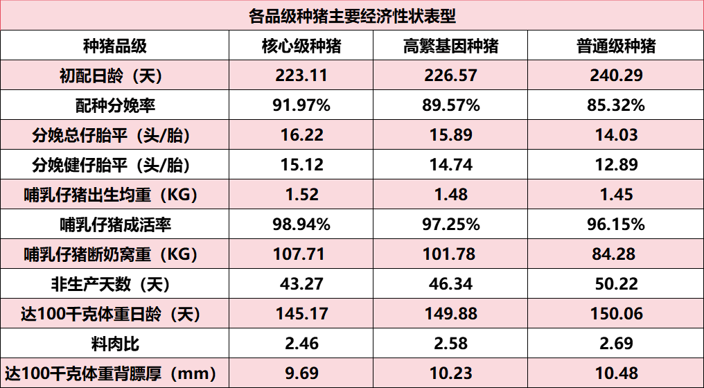 出欄320萬頭！老牌國企新五豐高質量發展：養豬、屠宰、食品全產業鏈發力