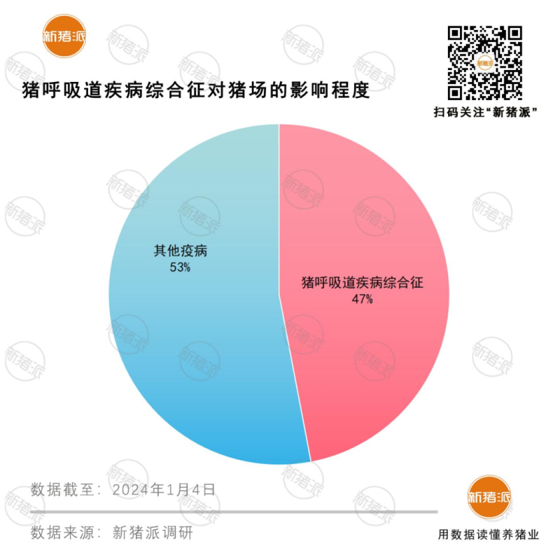 “三难”阻碍猪呼吸道疾病监测,应用数字化智能监测工具,提升猪场疾病监测效率【勃林格特约·智能健康】