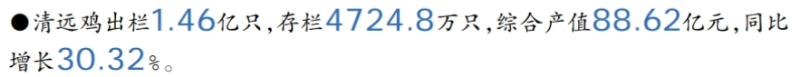 清远市超额完成清远鸡产业增长目标!实现综合产值88.62亿元,同比增长30.32%