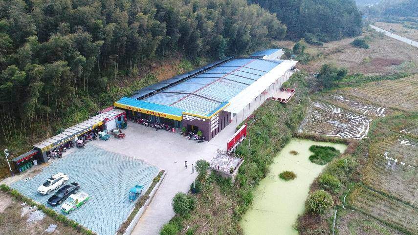 福建圣农用“1只鸡”开辟5个县的乡村振兴路