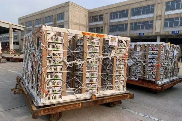 北京大风家禽育种公司从美国引进罗斯祖代种鸡