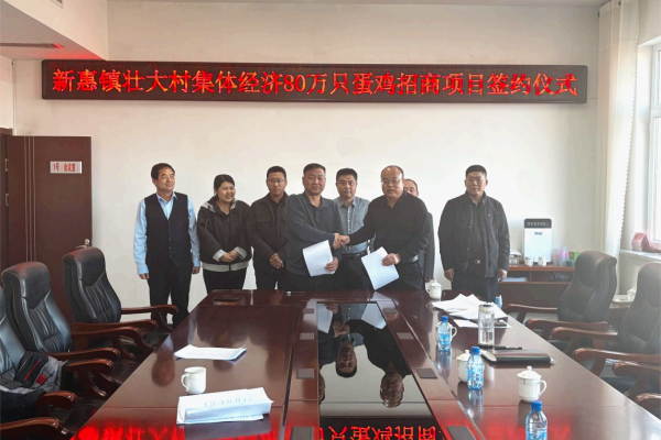 辽宁天勤80万羽蛋鸡项目签约