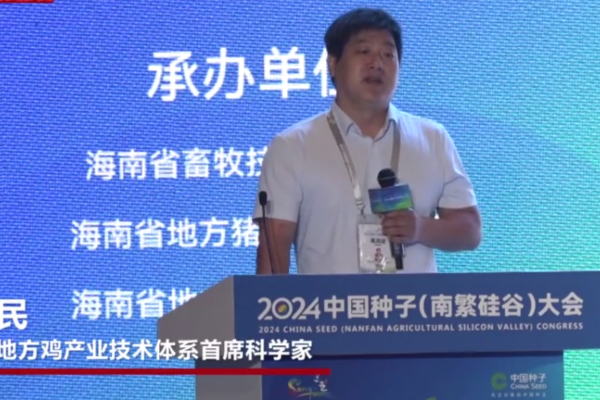 海南文昌鸡年出栏量超1亿只 产业链雏形初显