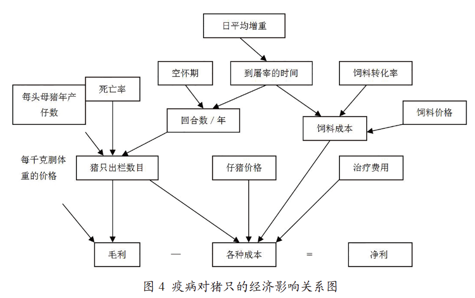 猪业科学：猪病防控的经济学评估 | Elanco【联合策划】