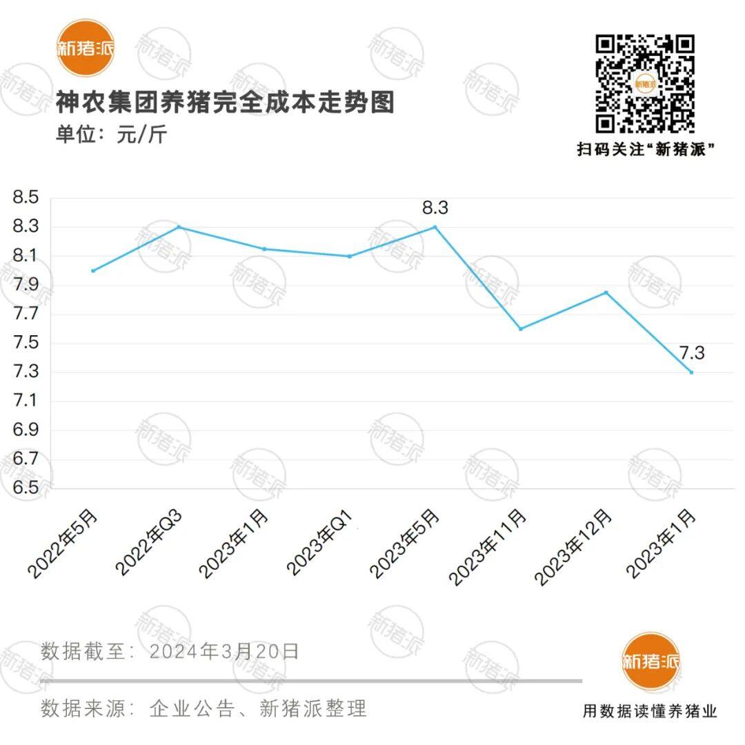 神农7.3温氏7.8！2024年猪企成本大幅下降，疫病稳定是降本关键【正典特约·巨头周事】