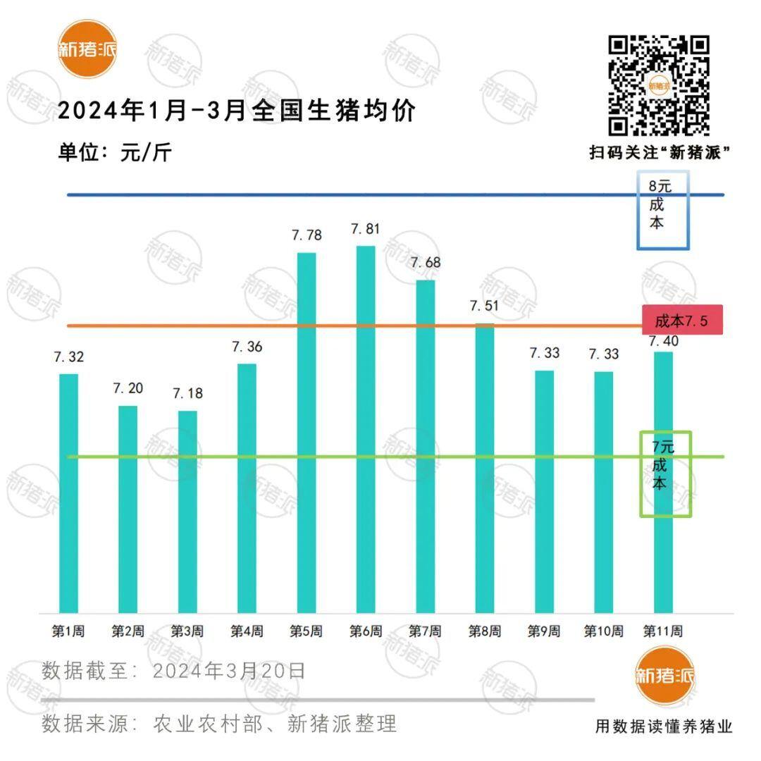 猪价破8!今年稳抓7元成本才能盈利,持续亏损13个月谁将退出中国养猪业?