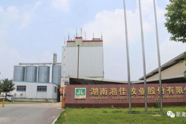 湘佳股份上市首亏，2023年净利润-1.47亿元