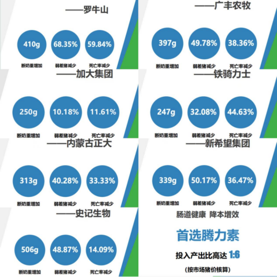 全球首款-初生乳猪肠道细胞的等渗营养液:腾力素Px让｛弱仔变強-强仔更强-全程增效｝的细胞营养学高新技术，液喂13天效果彰显！….