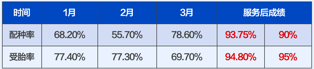 偉杰信豬批次化生產方案發布，配種率和妊娠率可提高15-20%