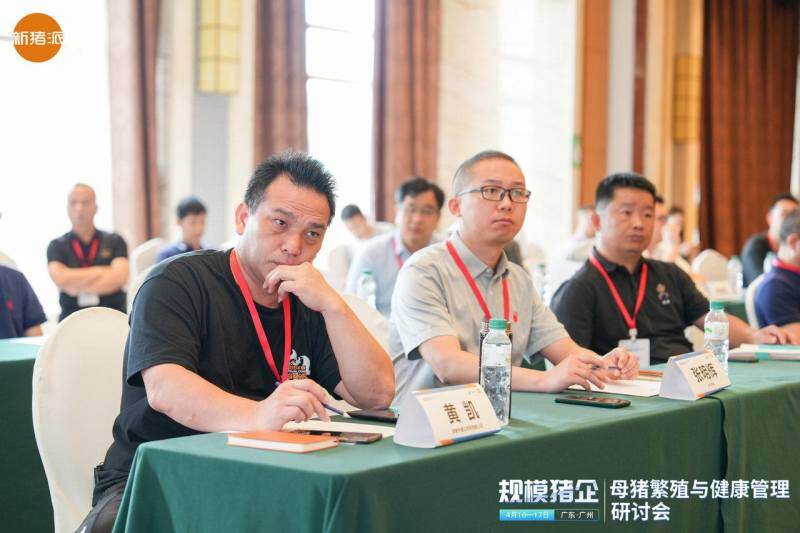 伟杰信猪批次化生产方案发布，配种率和妊娠率可提高15-20%