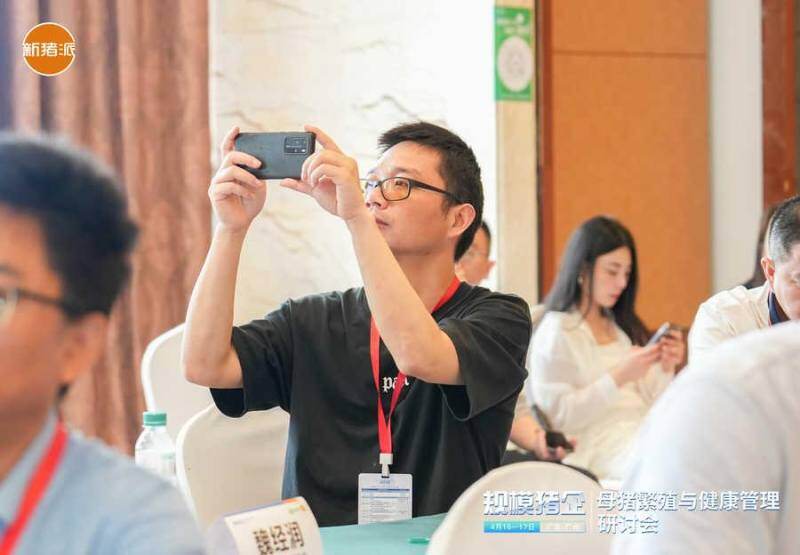 伟杰信猪批次化生产方案发布，配种率和妊娠率可提高15-20%